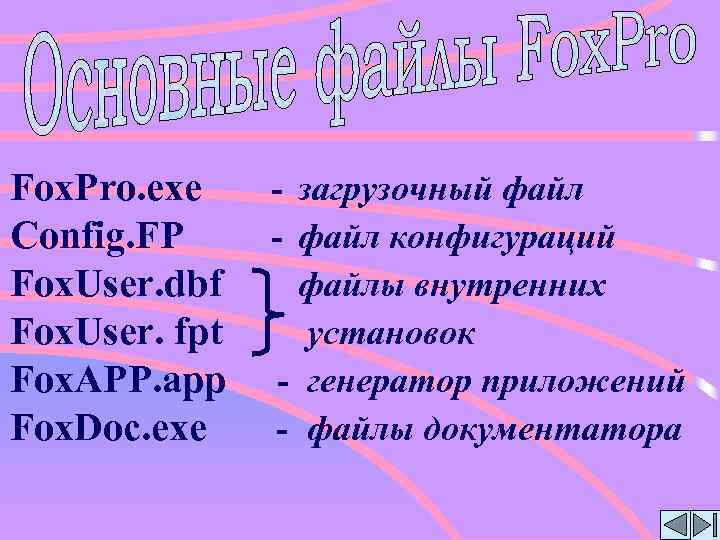 Fox. Pro. exe Config. FP Fox. User. dbf Fox. User. fpt Fox. APP. app