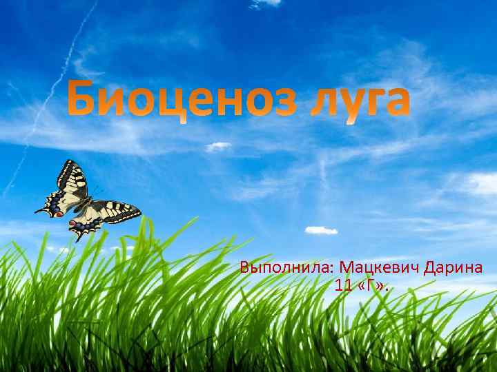 Выполнила: Мацкевич Дарина 11 «Г» . 