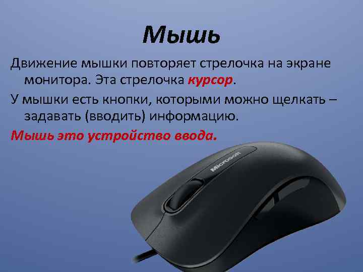 Мышь Движение мышки повторяет стрелочка на экране монитора. Эта стрелочка курсор. У мышки есть
