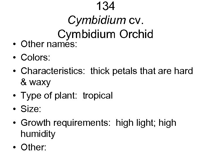 134 Cymbidium cv. Cymbidium Orchid • Other names: • Colors: • Characteristics: thick petals
