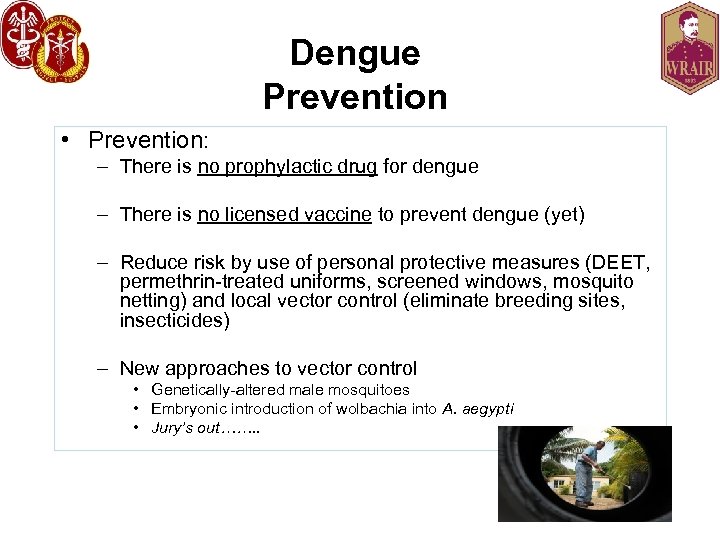 Dengue Prevention • Prevention: – There is no prophylactic drug for dengue – There