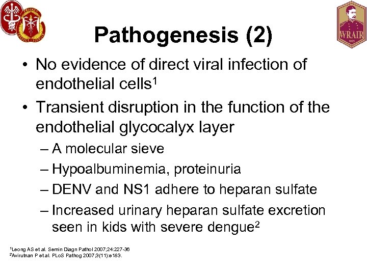 Pathogenesis (2) • No evidence of direct viral infection of endothelial cells 1 •