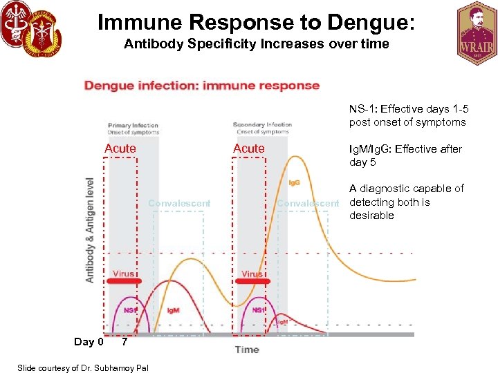 Immune Response to Dengue: Antibody Specificity Increases over time NS-1: Effective days 1 -5