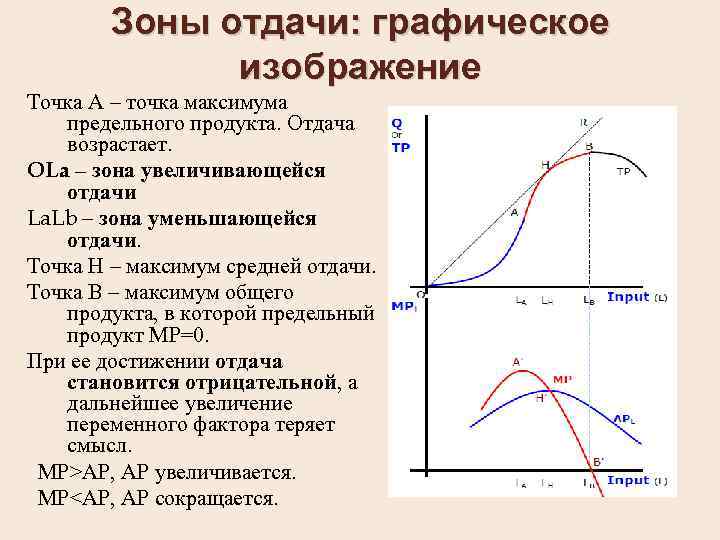 Зоны отдачи: графическое изображение Точка А – точка максимума предельного продукта. Отдача возрастает. OLa