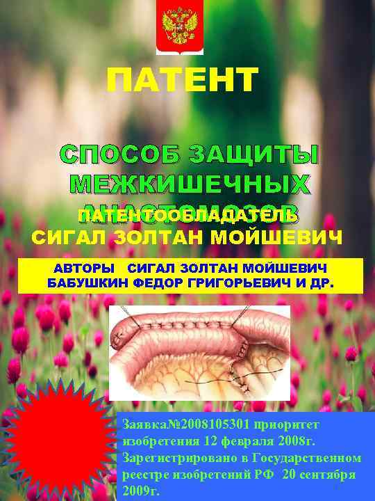 ПАТЕНТ СПОСОБ ЗАЩИТЫ МЕЖКИШЕЧНЫХ ПАТЕНТООБЛАДАТЕЛЬ АНАСТОМОЗОВ СИГАЛ ЗОЛТАН МОЙШЕВИЧ АВТОРЫ СИГАЛ ЗОЛТАН МОЙШЕВИЧ БАБУШКИН