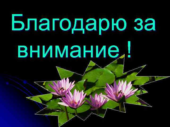 Благодарю за внимание ! 