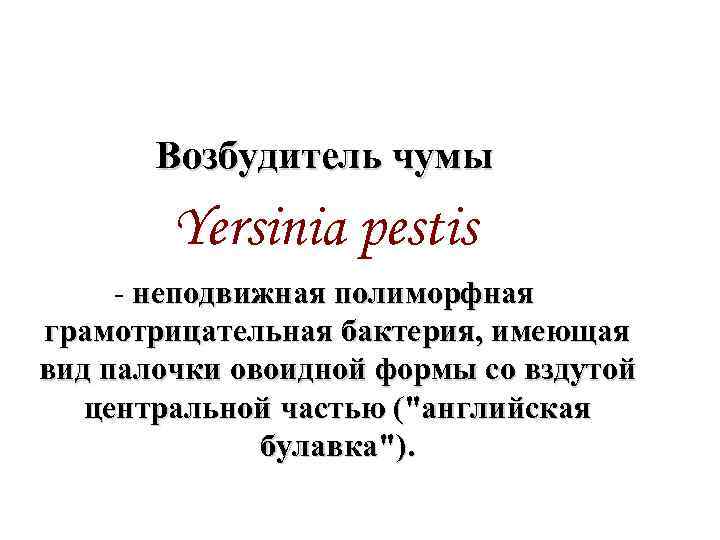 Возбудитель чумы Yersinia pestis - неподвижная полиморфная грамотрицательная бактерия, имеющая вид палочки овоидной формы