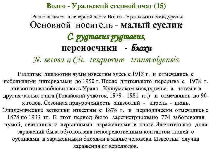 Волго - Уральский степной очаг (15) Располагается в северной части Волго - Уральского междуречья