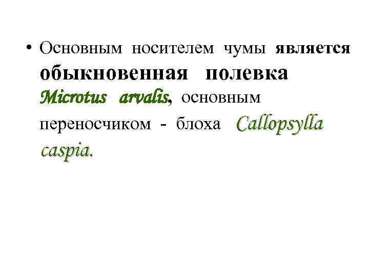  • Основным носителем чумы является обыкновенная полевка Microtus arvalis, основным переносчиком - блоха