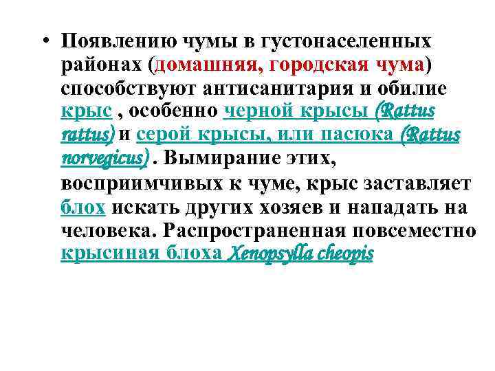  • Появлению чумы в густонаселенных районах (домашняя, городская чума) способствуют антисанитария и обилие