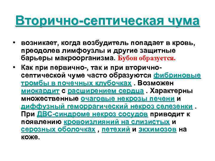 Вторично-септическая чума • возникает, когда возбудитель попадает в кровь, преодолев лимфоузлы и другие защитные