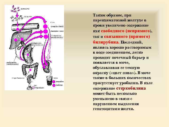 Таким образом, при паренхиматозной желтухе в крови увеличено содержание как свободного (непрямого), так и