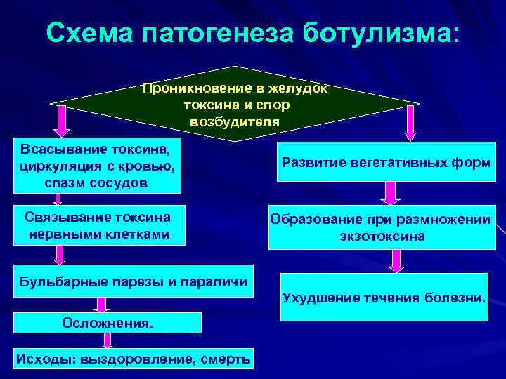 Ботулизм патогенез схема