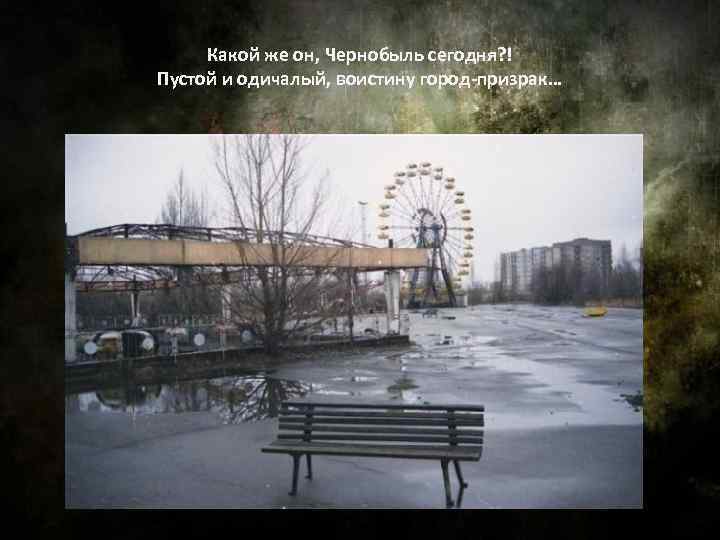Какой же он, Чернобыль сегодня? ! Пустой и одичалый, воистину город-призрак… 