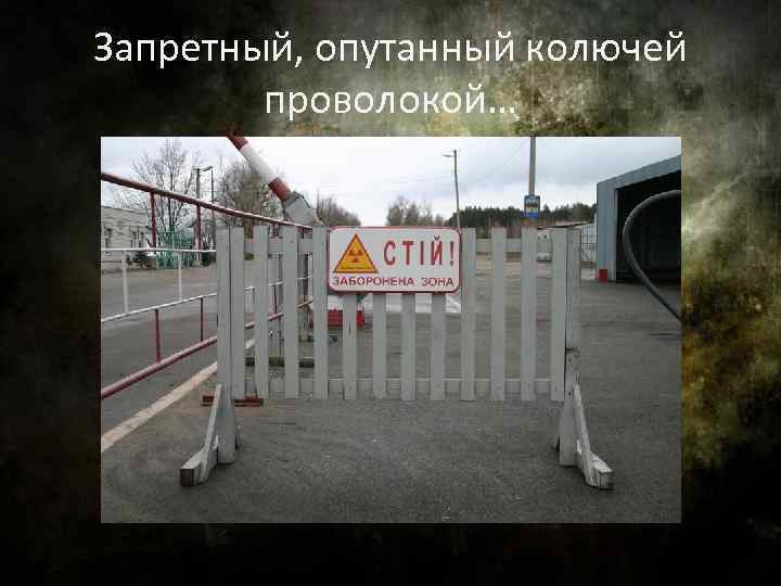 Запретный, опутанный колючей проволокой… 