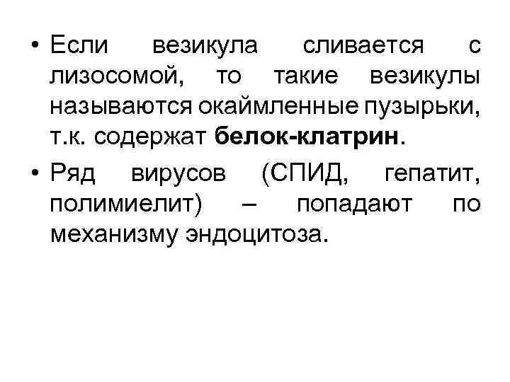  • Если везикула сливается с лизосомой, то такие везикулы называются окаймленные пузырьки, т.