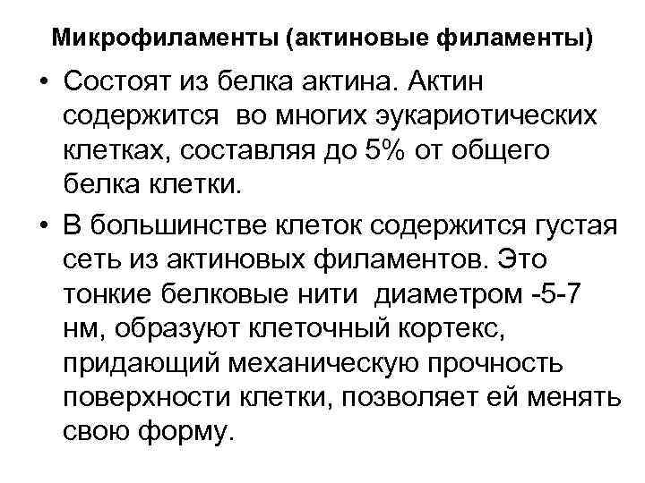 Микрофиламенты (актиновые филаменты) • Состоят из белка актина. Актин содержится во многих эукариотических клетках,