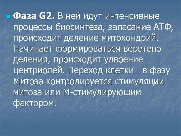 n Фаза G 2. В ней идут интенсивные процессы биосинтеза, запасание АТФ, происходит деление