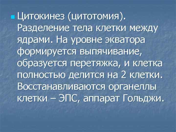 n Цитокинез (цитотомия). Разделение тела клетки между ядрами. На уровне экватора формируется выпячивание, образуется