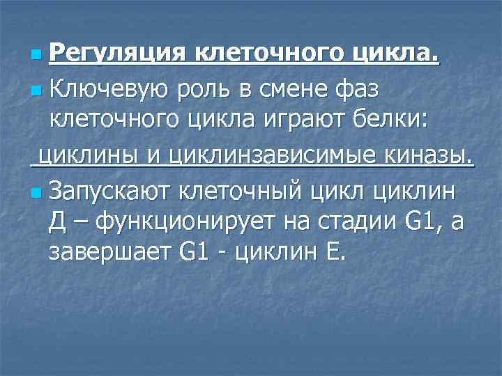 Регуляция клеточного цикла. n Ключевую роль в смене фаз клеточного цикла играют белки: циклины