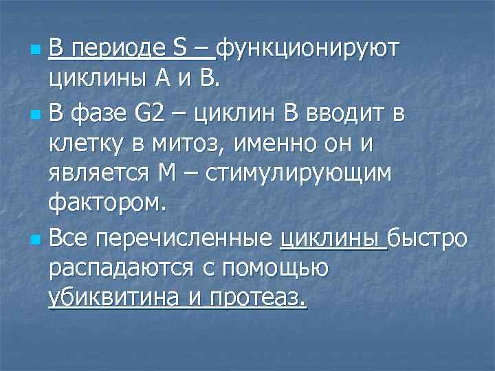 В периоде S – функционируют циклины А и В. n В фазе G 2