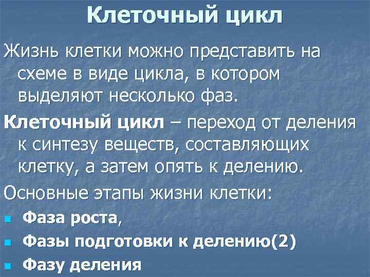 Клеточный цикл Жизнь клетки можно представить на схеме в виде цикла, в котором выделяют