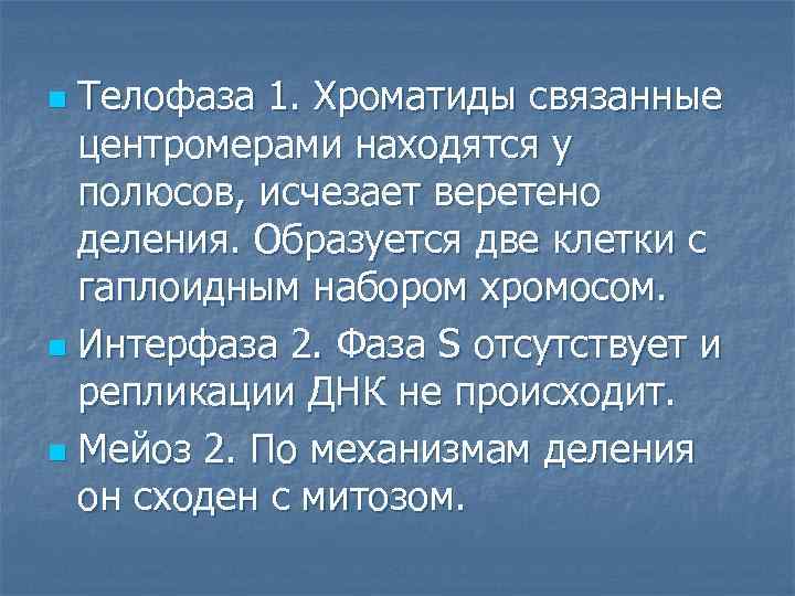 Телофаза 1. Хроматиды связанные центромерами находятся у полюсов, исчезает веретено деления. Образуется две клетки