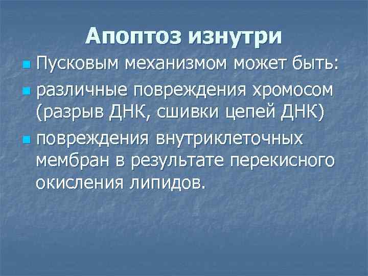 Апоптоз изнутри Пусковым механизмом может быть: n различные повреждения хромосом (разрыв ДНК, сшивки цепей