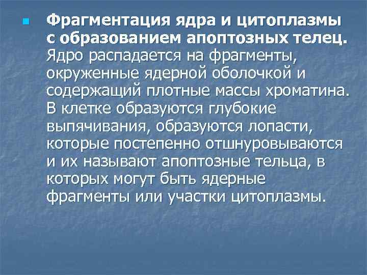 n Фрагментация ядра и цитоплазмы с образованием апоптозных телец. Ядро распадается на фрагменты, окруженные