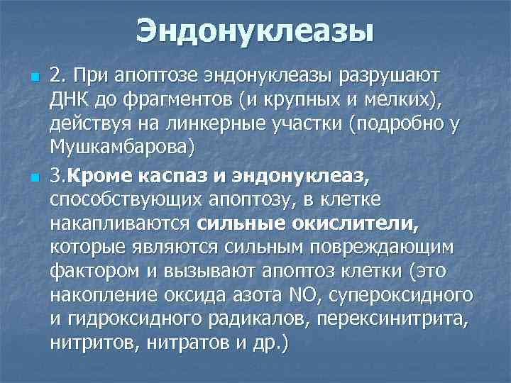 Эндонуклеазы n n 2. При апоптозе эндонуклеазы разрушают ДНК до фрагментов (и крупных и