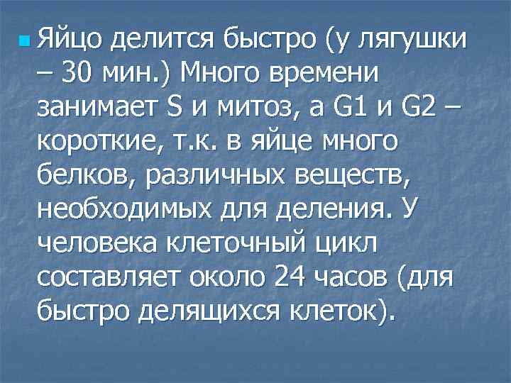 n Яйцо делится быстро (у лягушки – 30 мин. ) Много времени занимает S