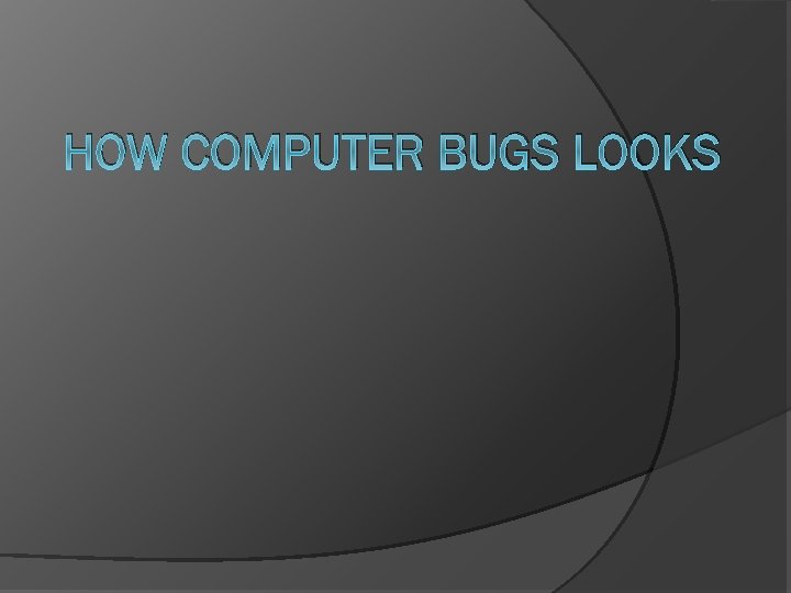 HOW COMPUTER BUGS LOOKS 