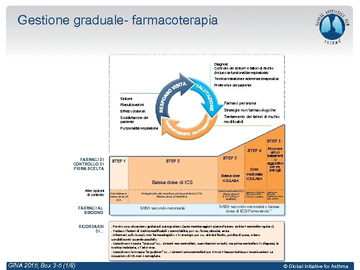 Gestione graduale- farmacoterapia Diagnosi Controllo dei sintomi e fattori di rischio (incluso la funzionalità