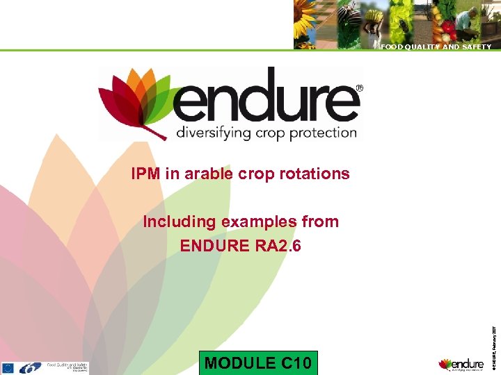 FOOD QUALITY AND SAFETY IPM in arable crop rotations MODULE C 10 © ENDURE,