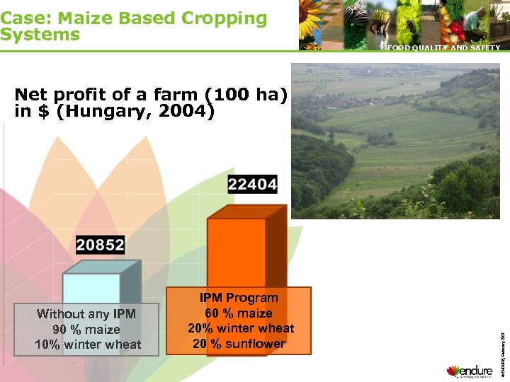 Case: Maize Based Cropping Systems FOOD QUALITY AND SAFETY Without any IPM 90 %