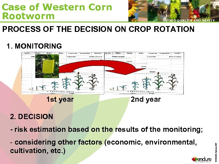 Case of Western Corn Rootworm FOOD QUALITY AND SAFETY PROCESS OF THE DECISION ON