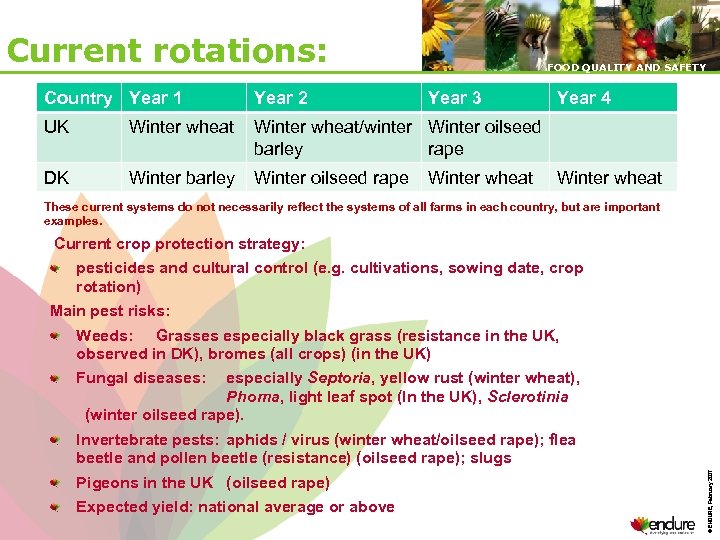 Current rotations: FOOD QUALITY AND SAFETY Country Year 1 Year 2 Year 3 UK