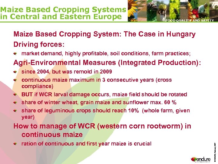 Maize Based Cropping Systems in Central and Eastern Europe FOOD QUALITY AND SAFETY Maize