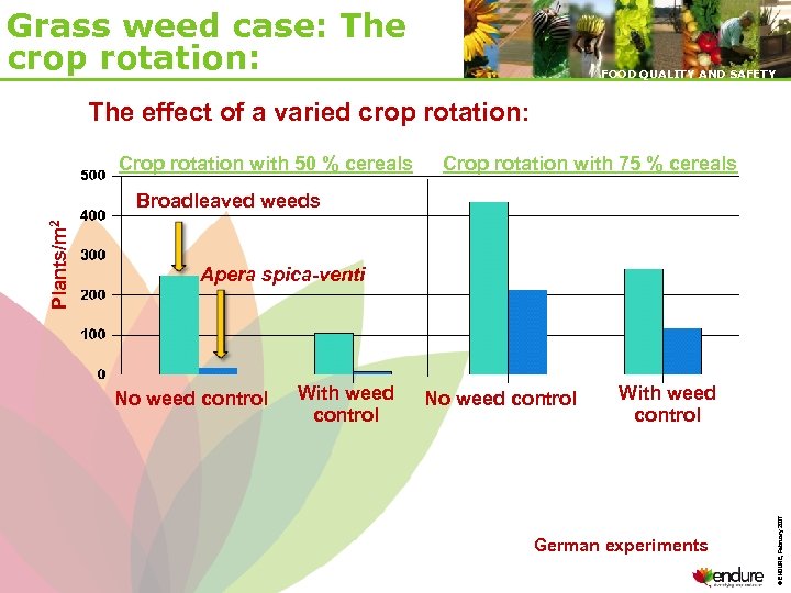 Grass weed case: The crop rotation: FOOD QUALITY AND SAFETY The effect of a