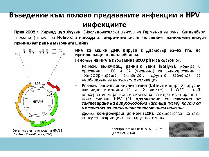 Въведение към полово предаваните инфекции и HPV инфекциите През 2008 г. Харалд цур Хаузен