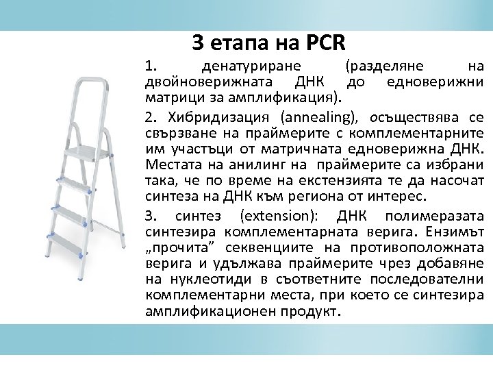 3 етапа на PCR 1. денатуриране (разделяне на двойноверижната ДНК до едноверижни матрици за