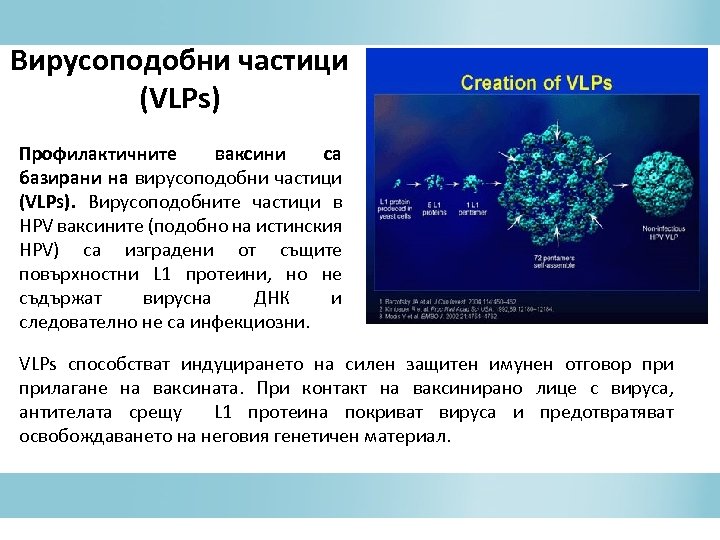 Вирусоподобни частици (VLPs) Профилактичните ваксини са базирани на вирусоподобни частици (VLPs). Вирусоподобните частици в