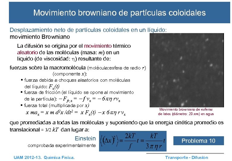 Movimiento browniano de partículas coloidales Desplazamiento neto de partículas coloidales en un líquido: movimiento
