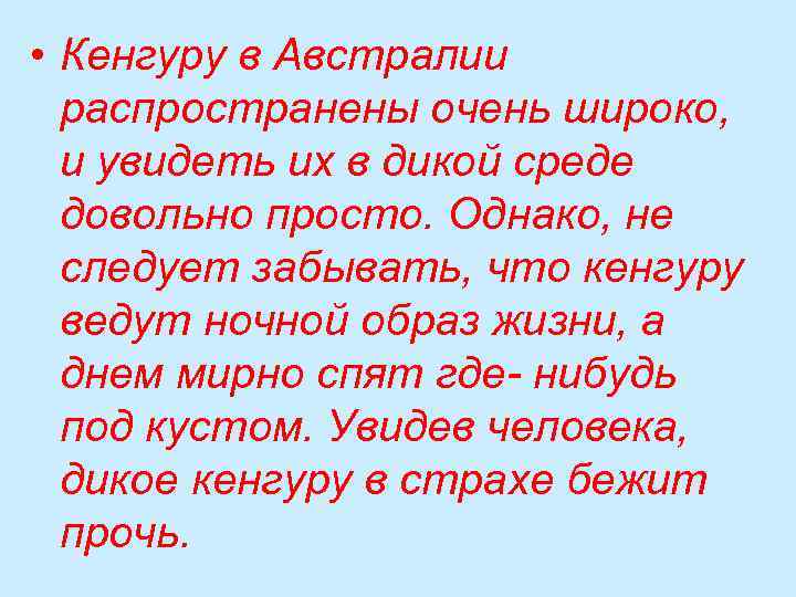  • Кенгуру в Австралии распространены очень широко, и увидеть их в дикой среде