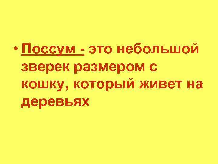  • Поссум - это небольшой зверек размером с кошку, который живет на деревьях