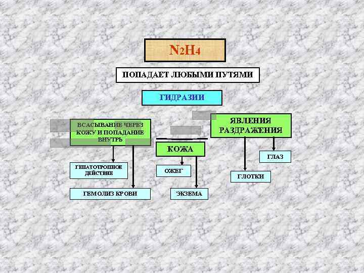 Ν 2 Н 4 ПОПАДАЕТ ЛЮБЫМИ ПУТЯМИ ГИДРАЗИИ ЯВЛЕНИЯ РАЗДРАЖЕНИЯ ВСАСЫВАНИЕ ЧЕРЕЗ КОЖУ И