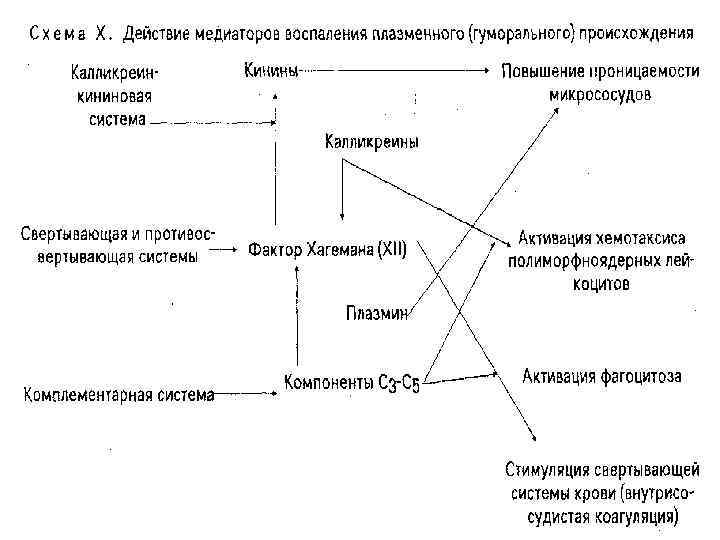 Медиаторы воспаления вызывают схема