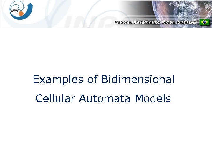 Examples of Bidimensional Cellular Automata Models 