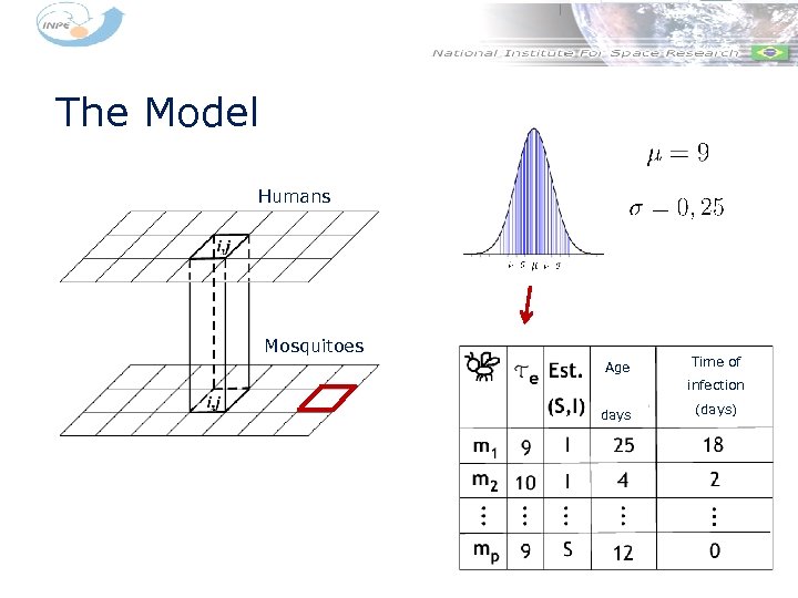 The Model Humans Mosquitoes Age Time of infection days (days) 