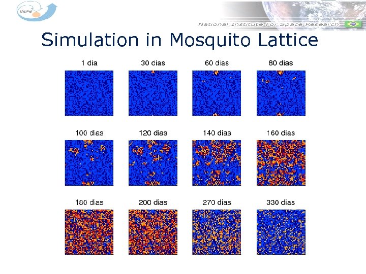 Simulation in Mosquito Lattice Inicialmente: Um único humano infectado 